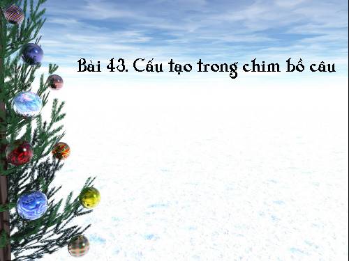 Bài 43. Cấu tạo trong của chim bồ câu