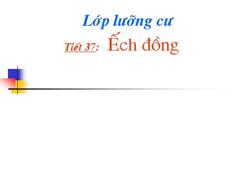 Bài 35. Ếch đồng