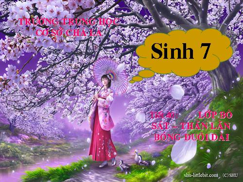 Bài 38. Thằn lằn bóng đuôi dài