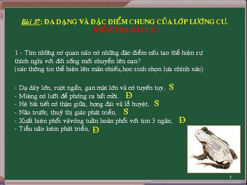Bài 37. Đa dạng và đặc điểm chung của lớp Lưỡng cư