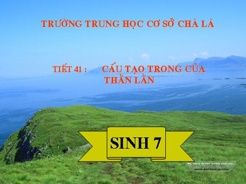 Bài 39. Cấu tạo trong của thằn lằn