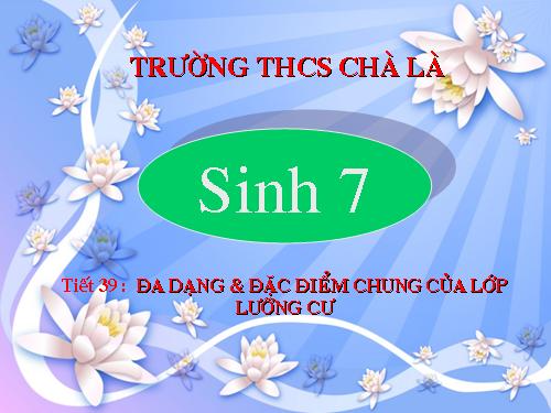 Bài 37. Đa dạng và đặc điểm chung của lớp Lưỡng cư