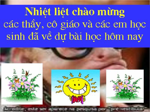 Bài 51. Đa dạng của lớp Thú: Các bộ Móng guốc và bộ Linh trưởng