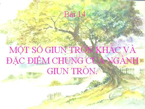 Bài 14. Một số giun tròn khác và đặc điểm chung của ngành Giun tròn