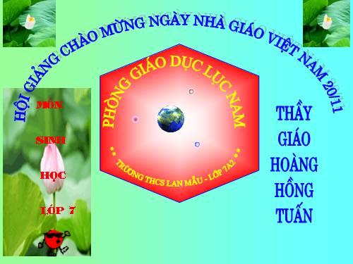 Bài 19. Một số thân mềm khác