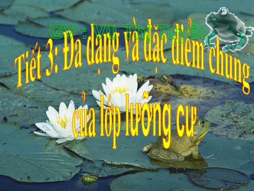 Bài 37. Đa dạng và đặc điểm chung của lớp Lưỡng cư
