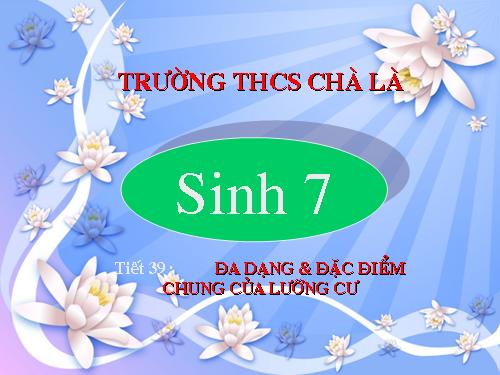 Bài 37. Đa dạng và đặc điểm chung của lớp Lưỡng cư
