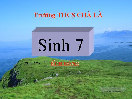 Bài 35. Ếch đồng