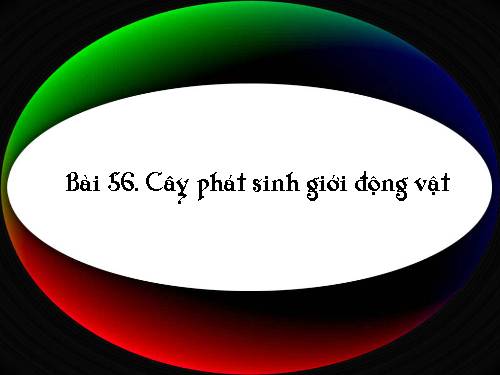 Bài 56. Cây phát sinh giới Động vật