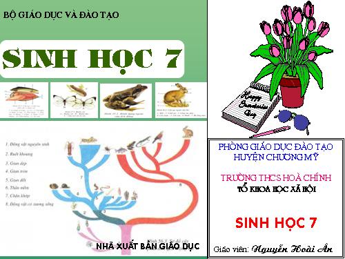 Bài 27. Đa dạng và đặc điểm chung của lớp Sâu bọ