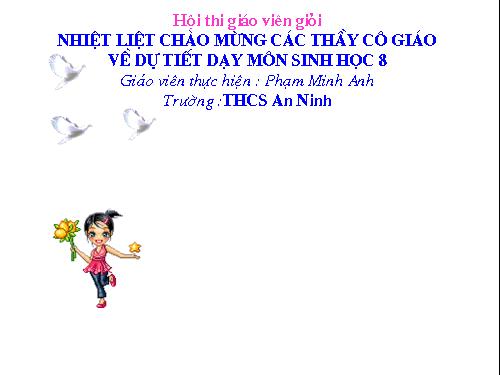 Bài 15. Giun đất