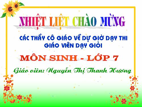 Bài 25. Nhện và sự đa dạng của lớp Hình nhện