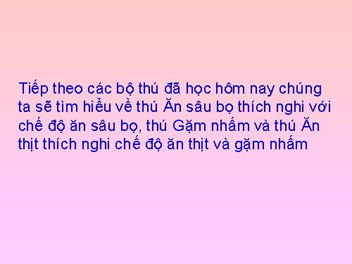 Bài 50. Đa dạng của lớp Thú: Bộ Ăn sâu bọ, bộ Gặm nhấm, bộ Ăn thịt