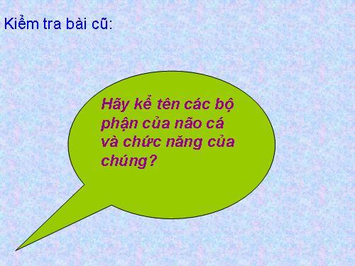 Bài 34. Đa dạng và đặc điểm chung của các lớp Cá