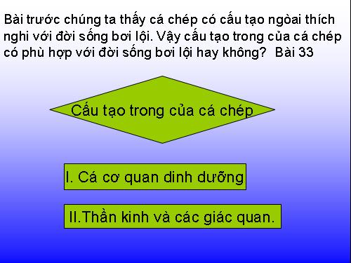 Bài 33. Cấu tạo trong của cá chép