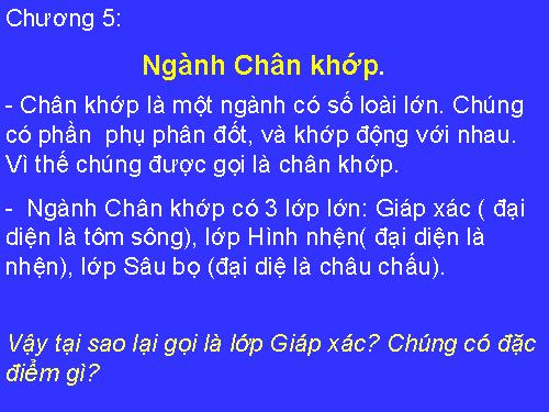 Bài 22. Tôm sông