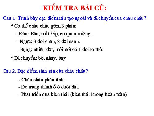 Bài 27. Đa dạng và đặc điểm chung của lớp Sâu bọ