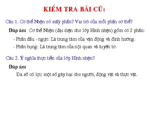 Bài 26. Châu chấu