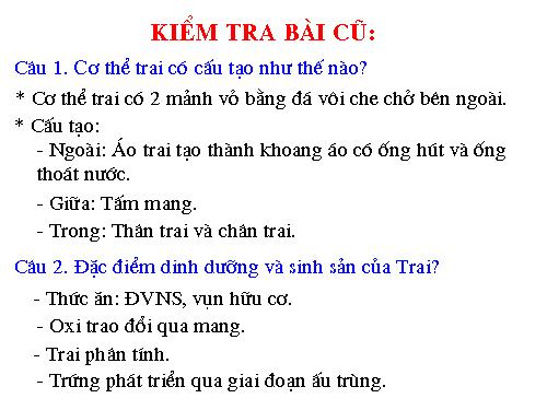 Bài 19. Một số thân mềm khác