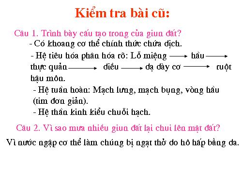 Bài 17. Một số giun đốt khác và đặc điểm chung của ngành Giun đốt