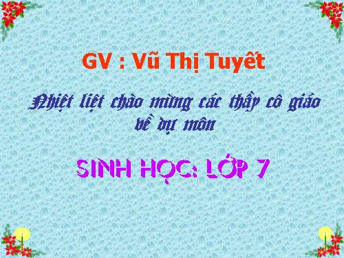Bài 25. Nhện và sự đa dạng của lớp Hình nhện