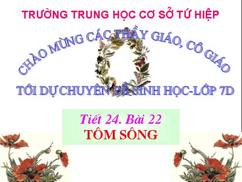Bài 22. Tôm sông