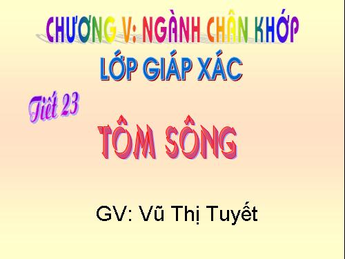 Bài 22. Tôm sông