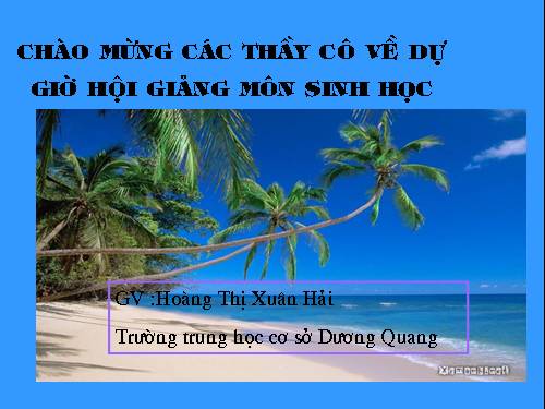 Bài 31. Cá chép