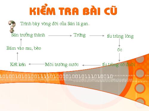 Bài 13. Giun đũa
