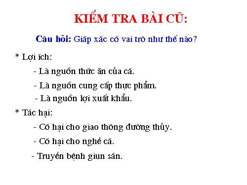 Bài 25. Nhện và sự đa dạng của lớp Hình nhện