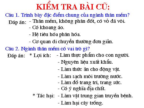 Bài 22. Tôm sông