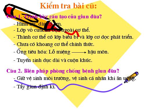 Bài 15. Giun đất