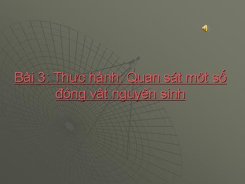 Bài 3,4,5: Ghi không hết.