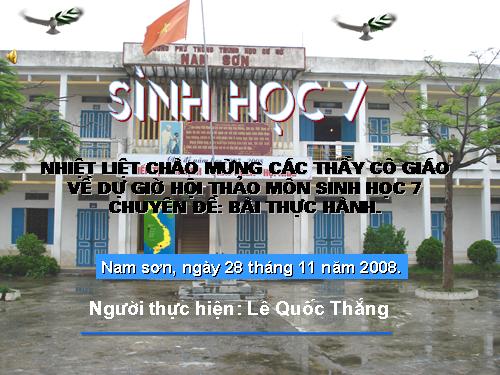 Bài 23. Thực hành: Mổ và quan sát tôm sông