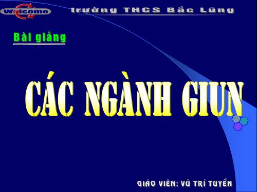 Bài 13. Giun đũa