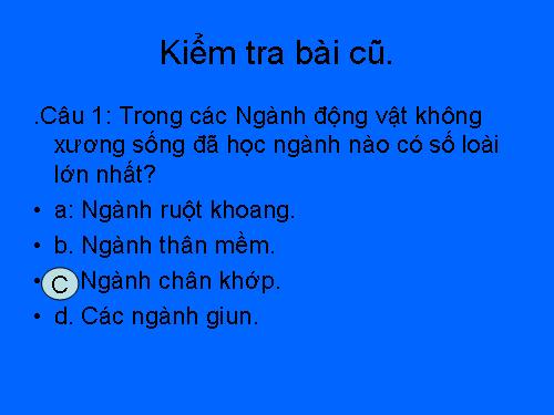 Bài 31. Cá chép