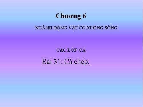 Bài 31. Cá chép
