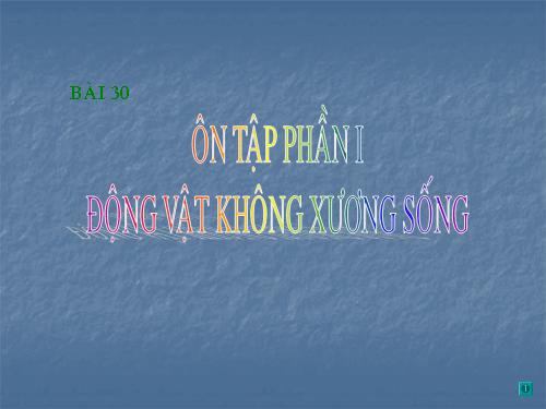 Bài 30. Ôn tập phần I - Động vật không xương sống