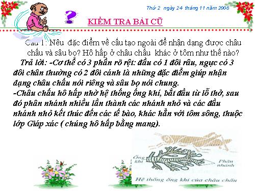 Bài 27. Đa dạng và đặc điểm chung của lớp Sâu bọ