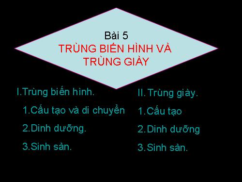 Bài 5. Trùng biến hình và trùng giày
