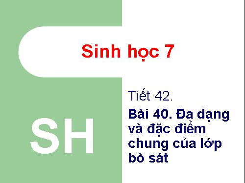 Bài 40. Đa dạng và đặc điểm chung của lớp Bò sát