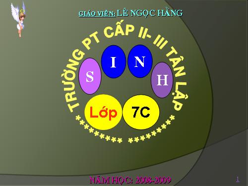 Bài 26. Châu chấu