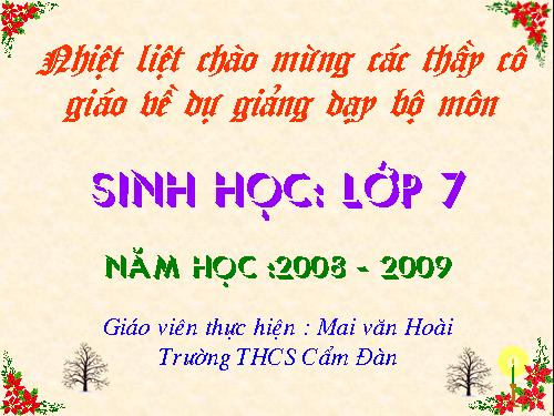 Bài 22. Tôm sông