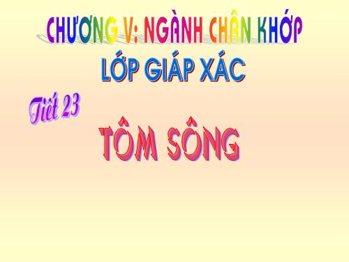 Bài 22. Tôm sông