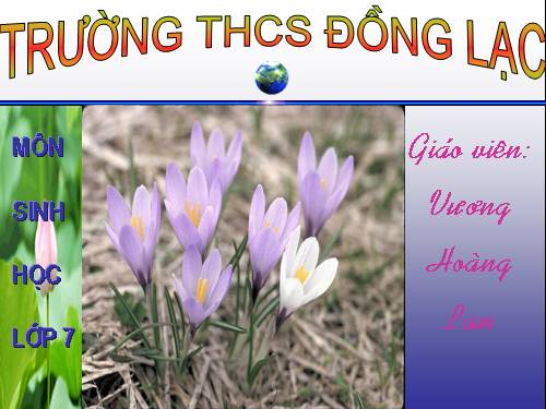 Bài 51. Đa dạng của lớp Thú: Các bộ Móng guốc và bộ Linh trưởng
