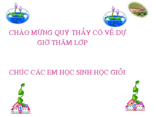 Bài 26. Châu chấu