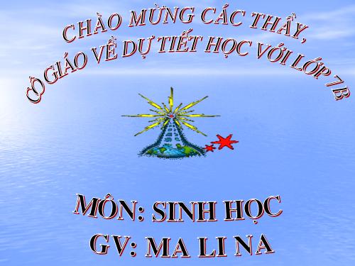 Bài 19. Một số thân mềm khác