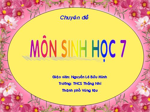 Bài 34. Đa dạng và đặc điểm chung của các lớp Cá