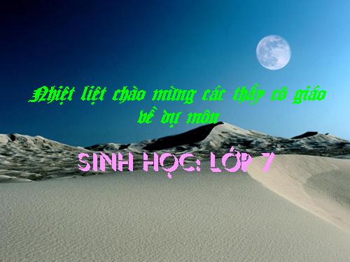 Bài 27. Đa dạng và đặc điểm chung của lớp Sâu bọ