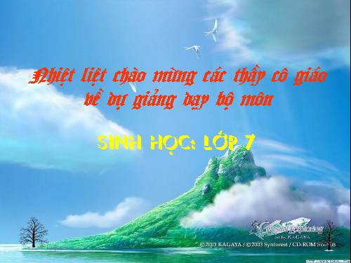 Bài 22. Tôm sông